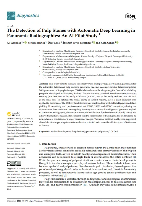 The Detection of Pulp Stones with Automatic Deep Learning in Panoramic Radiographies: An AI Pilot Study