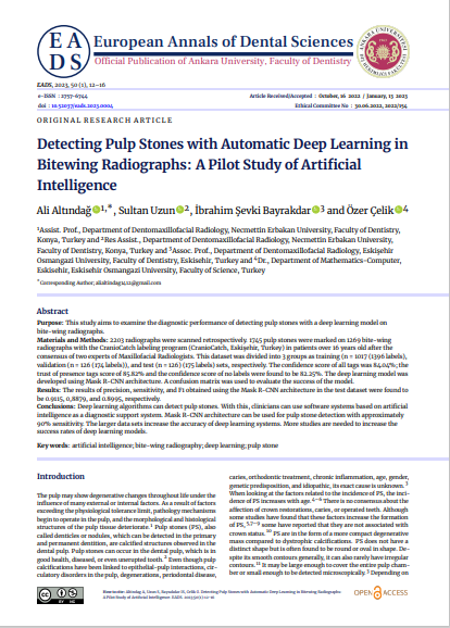 Detecting Pulp Stones with Automatic Deep Learning in Bitewing Radiographs: A Pilot Study of Artificial Intelligence