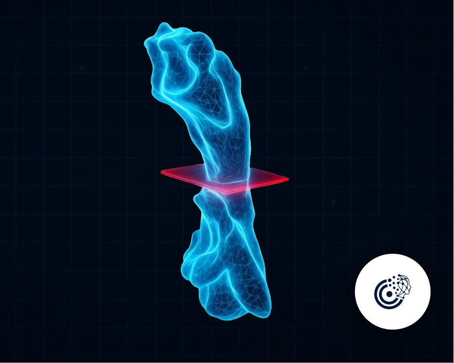 Yapay Zekâ ile Farengeal Havayolu ve Paranasal Sinüs Hacimlerinin Hesaplanması | CranioCatch CBCT Analizi