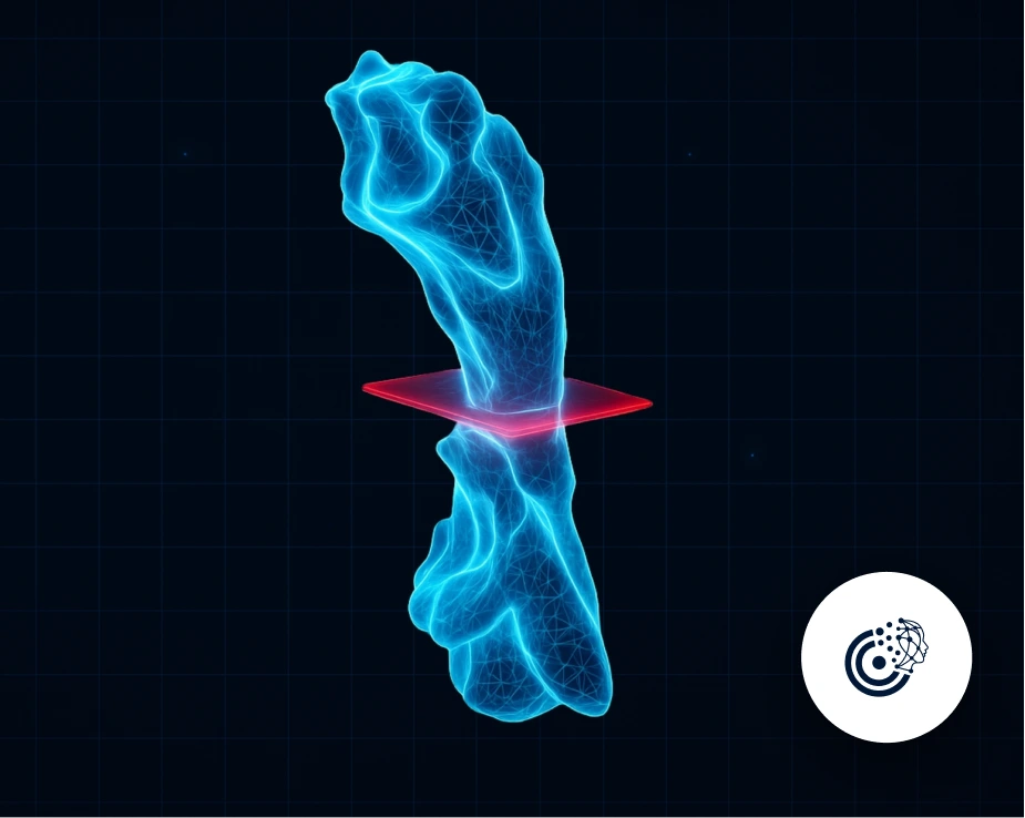 Pharyngeal Airway and Paranasal Sinus Volume Calculation with AI | CranioCatch CBCT Analysis
