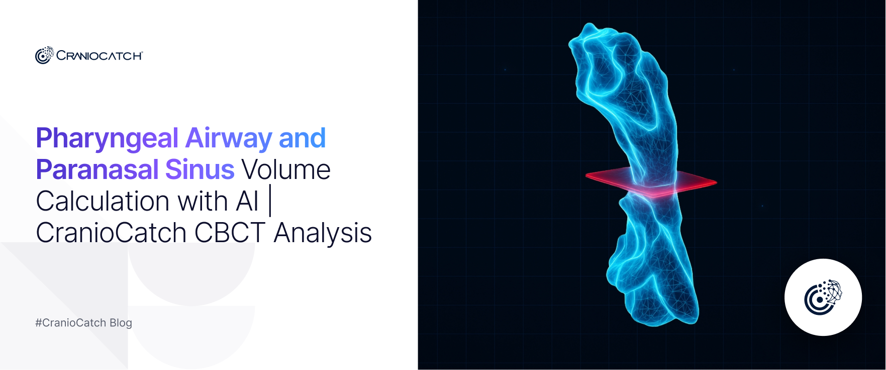 Pharyngeal Airway and Paranasal Sinus Volume Calculation with AI | CranioCatch CBCT Analysis