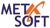 Metasoft Logo